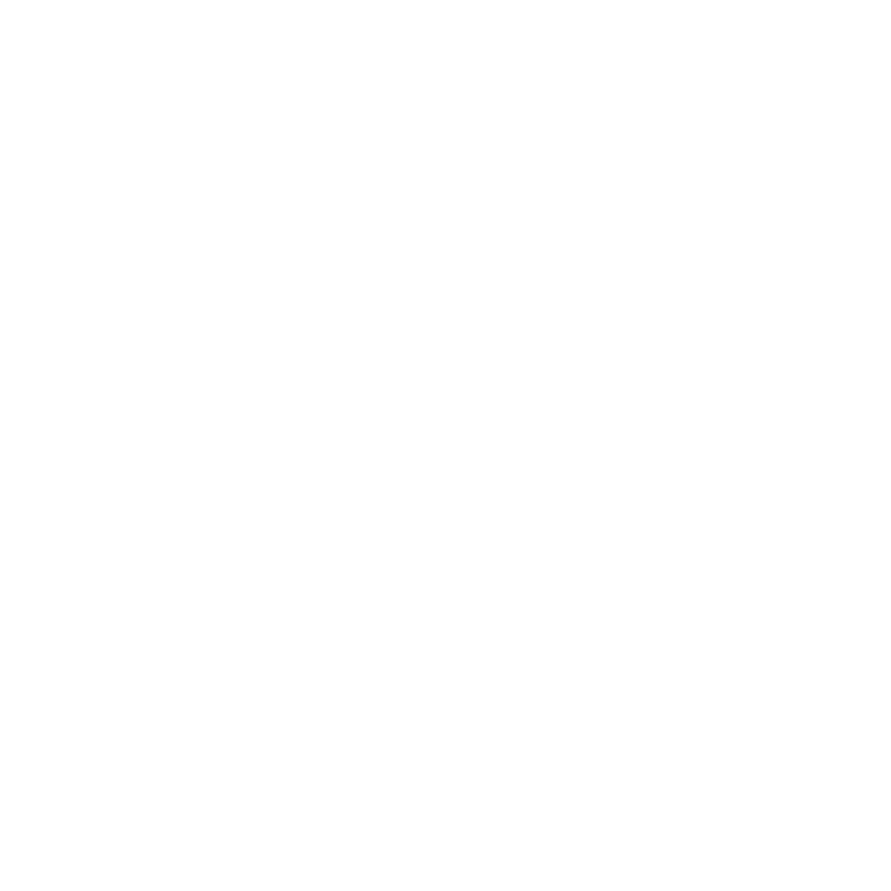 Wheel Icon